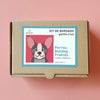 Kit 20x20 cm perros: bulldog francés