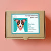 Kit 20x20 cm perros: fox terrier