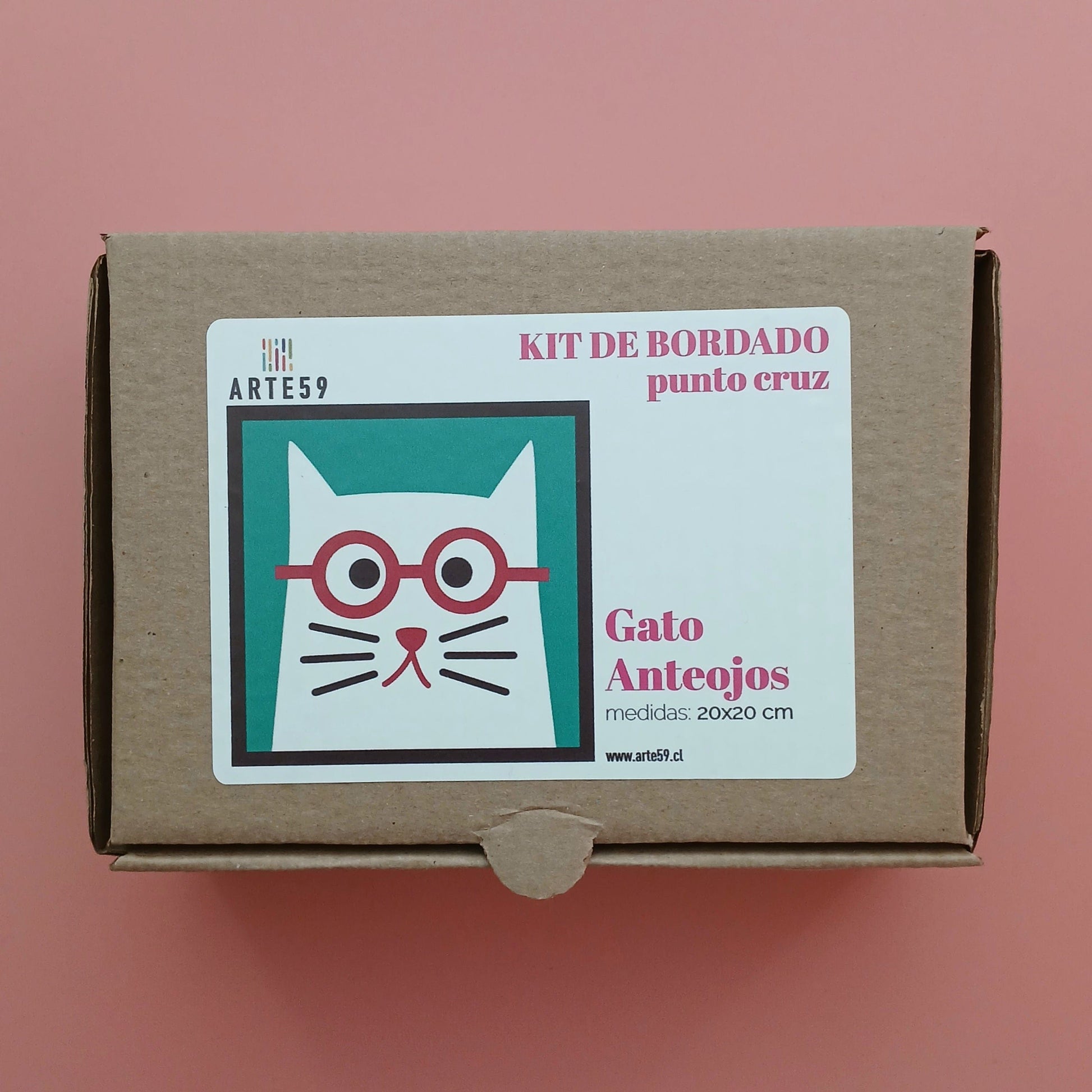 Arte59 Kit de 20x20 cm Kit gato anteojos 20x20 cm