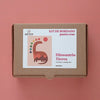 Arte59 Kit de 20x25 cm Kit dinosaurio tierra 20x25 cm